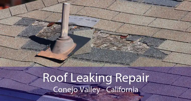 Roof Leaking Repair Conejo Valley - California