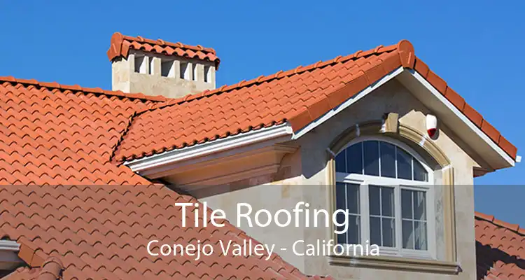 Tile Roofing Conejo Valley - California